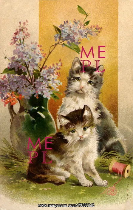  : Two Kittens Playing Near Vase of Flowers