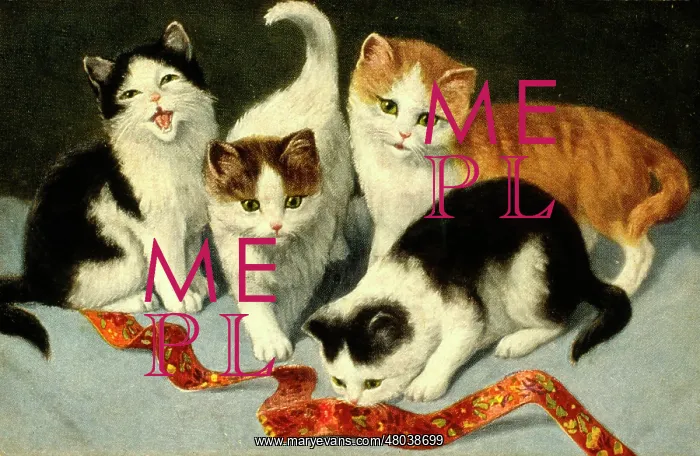 : Four kittens playing with a ribbon