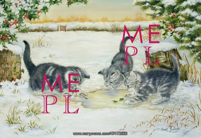  : Three Kittens Playing in the Snow