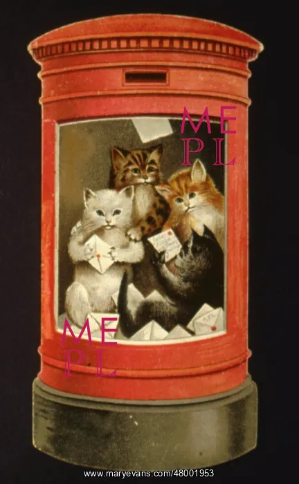 : Kittens in a postbox : Kittens in a postbox