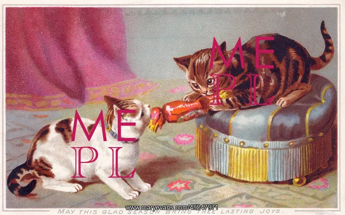 : Two kittens pulling cracker on a Christmas card : Two kittens pulling cracker on a Christmas card