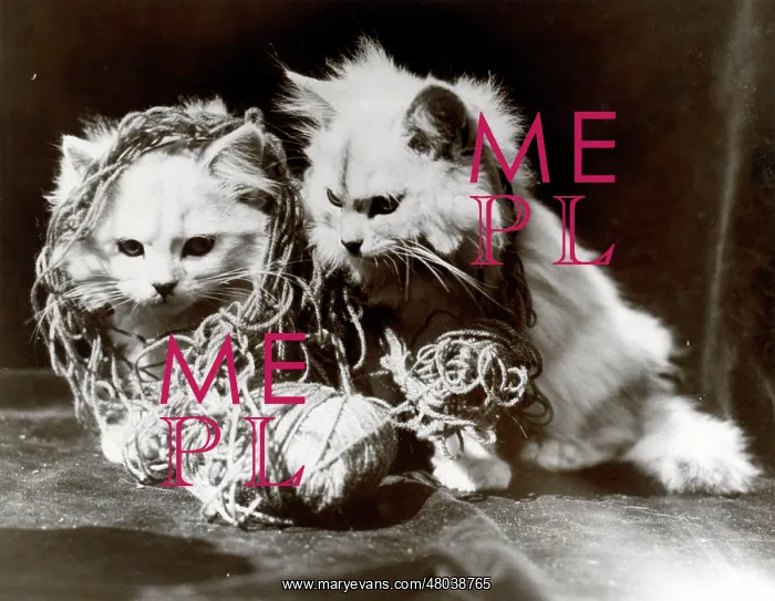 : Two kittens ravelled up in wool : Two kittens ravelled up in wool
