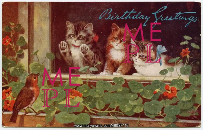  : Three kittens and a robin on a birthday postcard