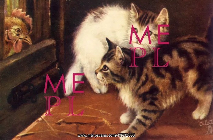  : Kittens and Rooster