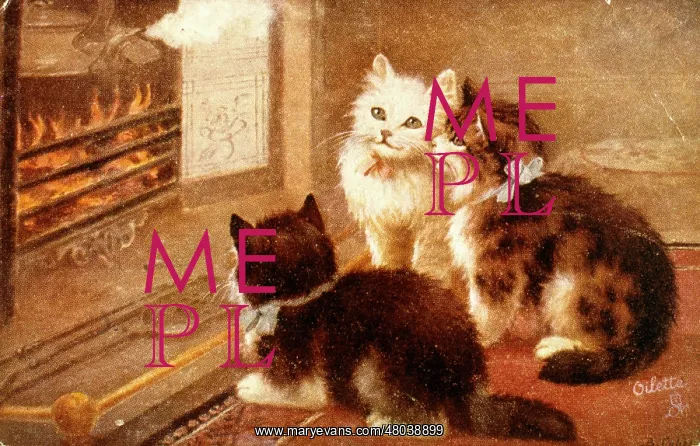  : Three kittens sitting in front of the fire
