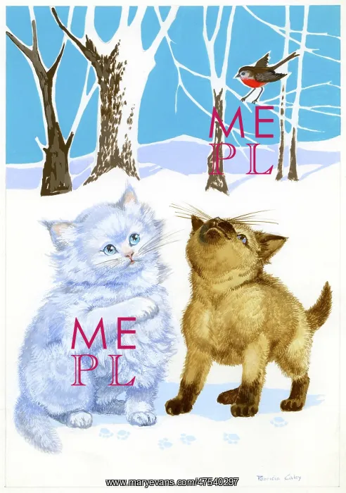 : Two Kittens in the snow : Two Kittens in the snow