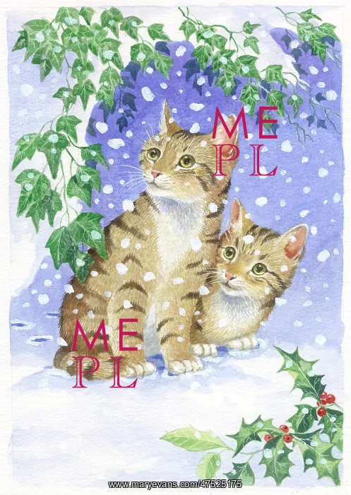 : Two kittens in snow with holly and ivy : Two kittens in snow with holly and ivy