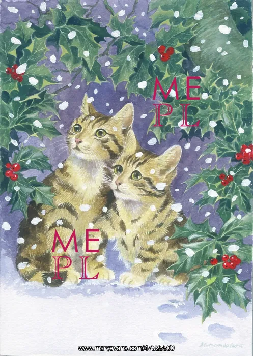 : Two kittens in the snow with ivy and holly : Two kittens in the snow with ivy and holly