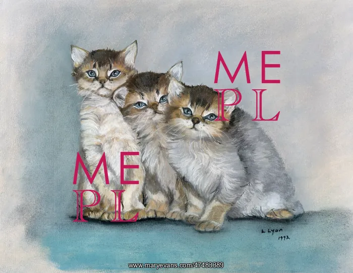 : Three Kittens ' snuggled together : Three Kittens ' snuggled together