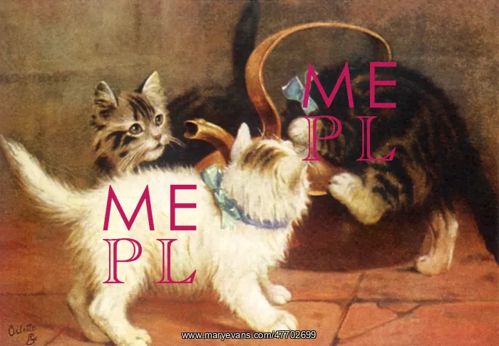  : Kittens and Teapot