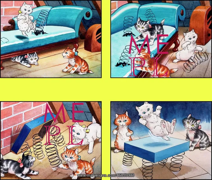 : The Kitten's Trampoline : The Kitten's Trampoline