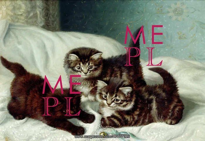 : Three Kittens on a White Bed-spread : Three Kittens on a White Bed-spread