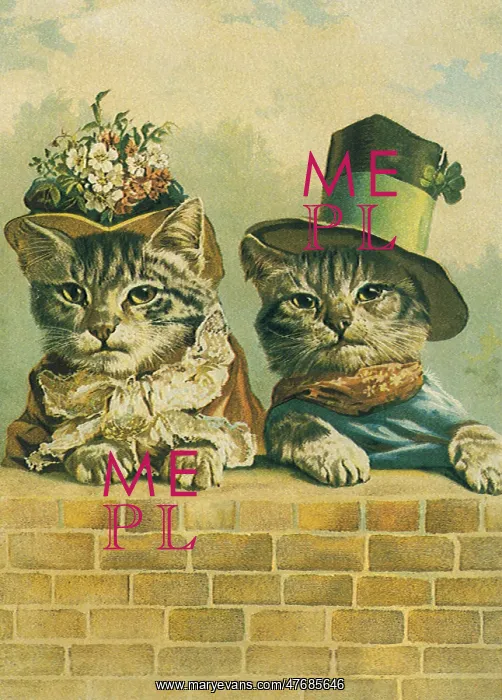 : Kitty Couple : Kitty Couple