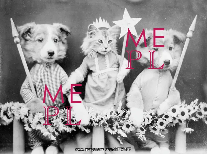 : KITTY MAY QUEEN : KITTY MAY QUEEN