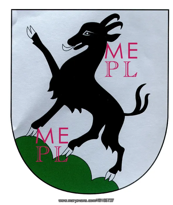 : Kitzbuehel, Coat of arms : Kitzbuehel, Coat of arms
