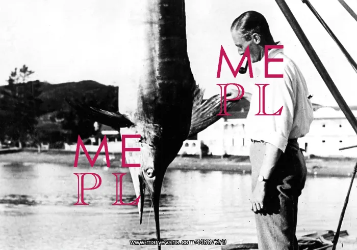 : KIWI SWORDFISH CATCH : KIWI SWORDFISH CATCH