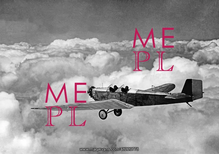 : A Klemm L25A in flight, 1930 : A Klemm L25A in flight, 1930