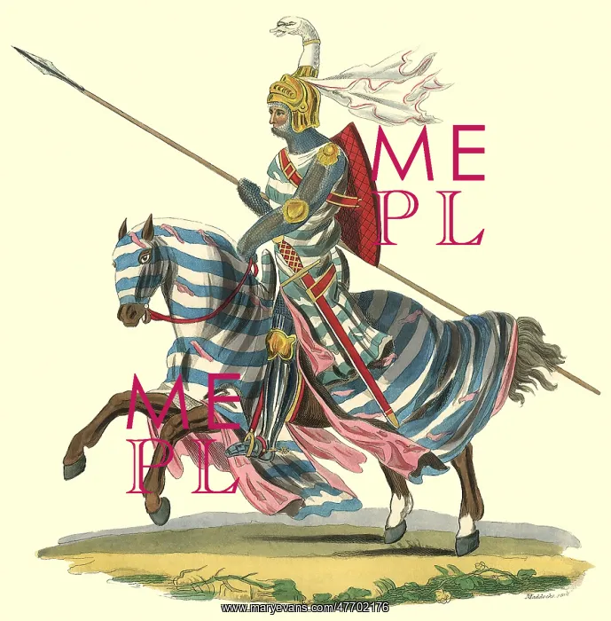  : Knight on Charger
