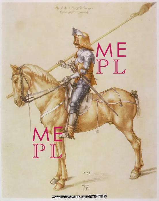  : KNIGHT / DURER