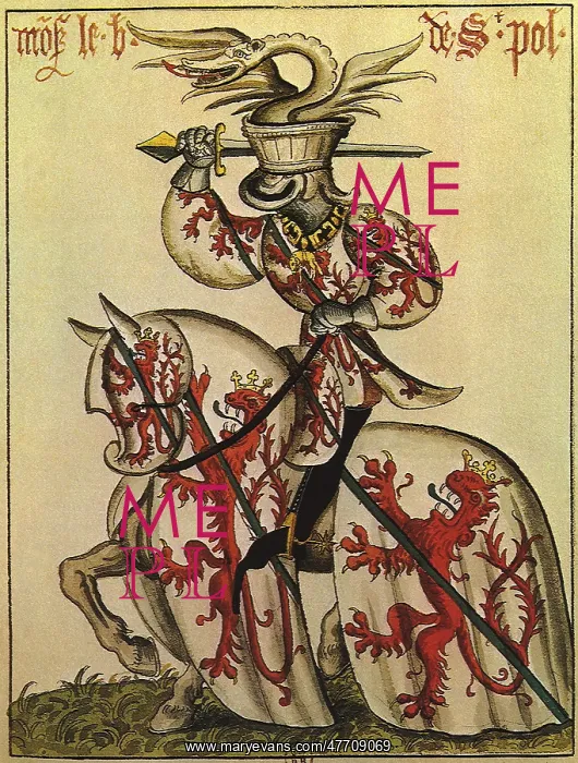 : Knight of Golden Fleece : Knight of Golden Fleece