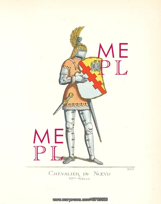 : Knight of the Order of the Knot, 14th century : Knight of the Order of the Knot, 14th century