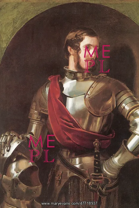  : Knight in Shining Armor