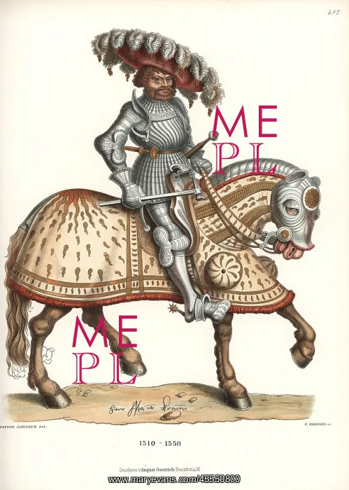 : Knight in suit of decorated plate armor on horseback : Knight in suit of decorated plate armor on horseback