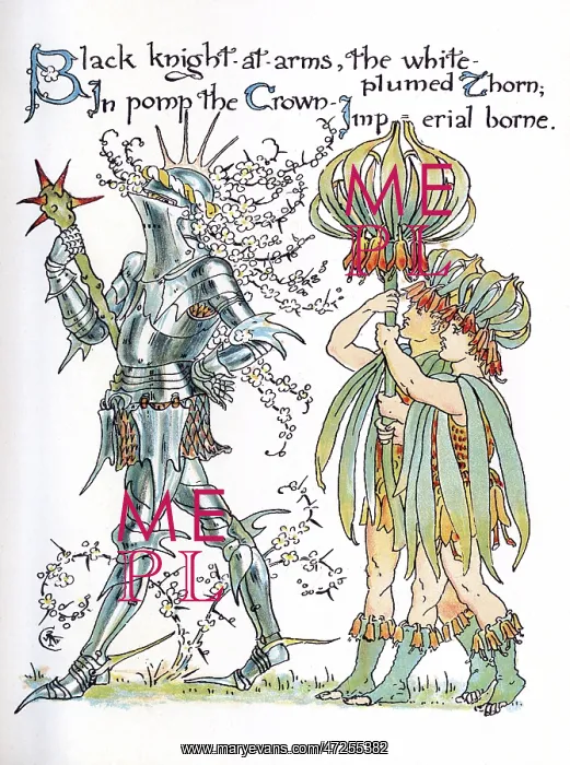 : Knight and Thorn : Knight and Thorn