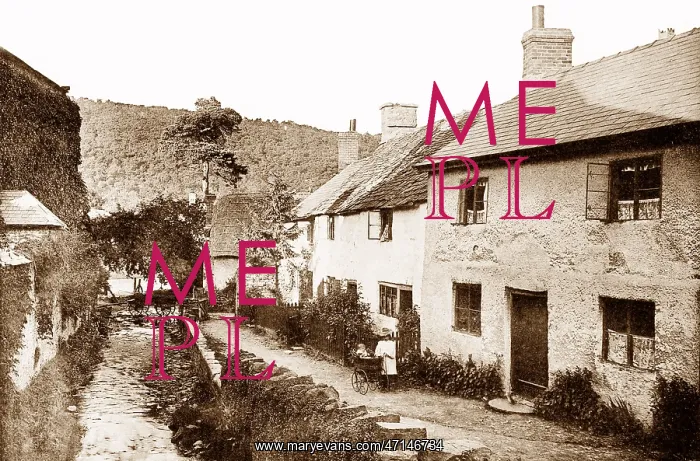  : Knighton Brookside early 1900s