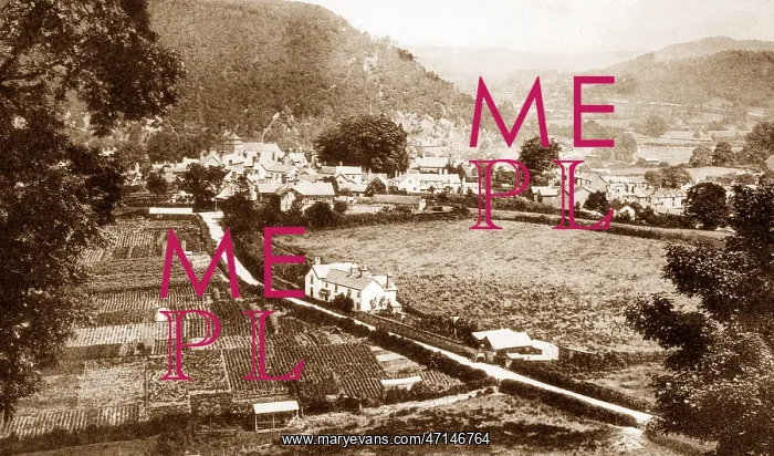  : Knighton from The Garth early 1900s