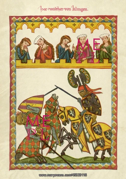 : KNIGHTS JOUSTING : KNIGHTS JOUSTING