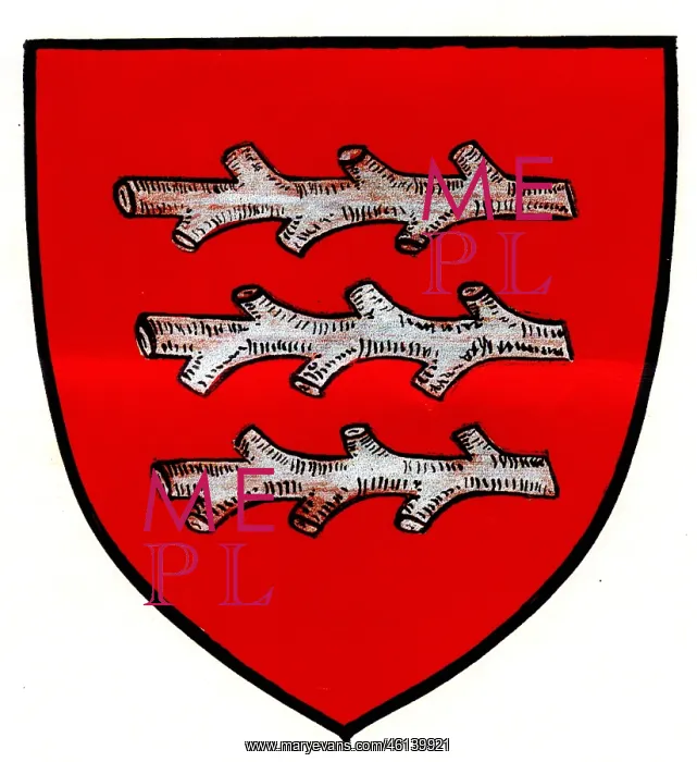 : Knittelfeld, Coat of arms : Knittelfeld, Coat of arms