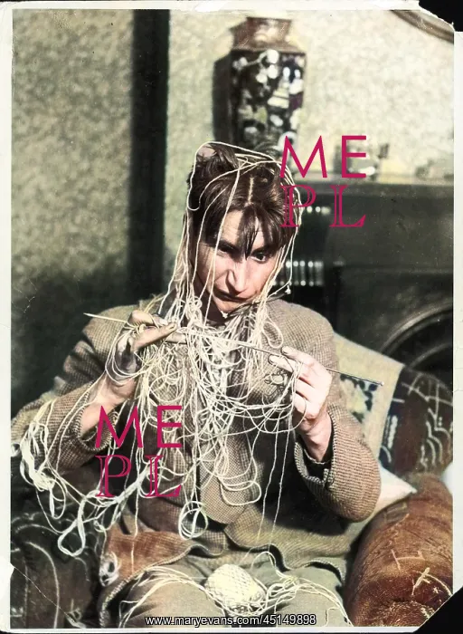: Knitting Expert : Knitting Expert