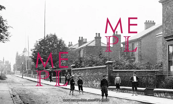  : Knottingley The Rope Walk early 1900s