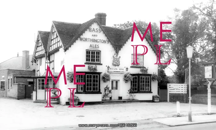  : Knowle, Wilson Arms c1965