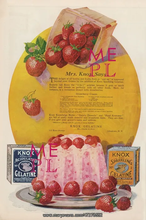  : KNOX GELATINE