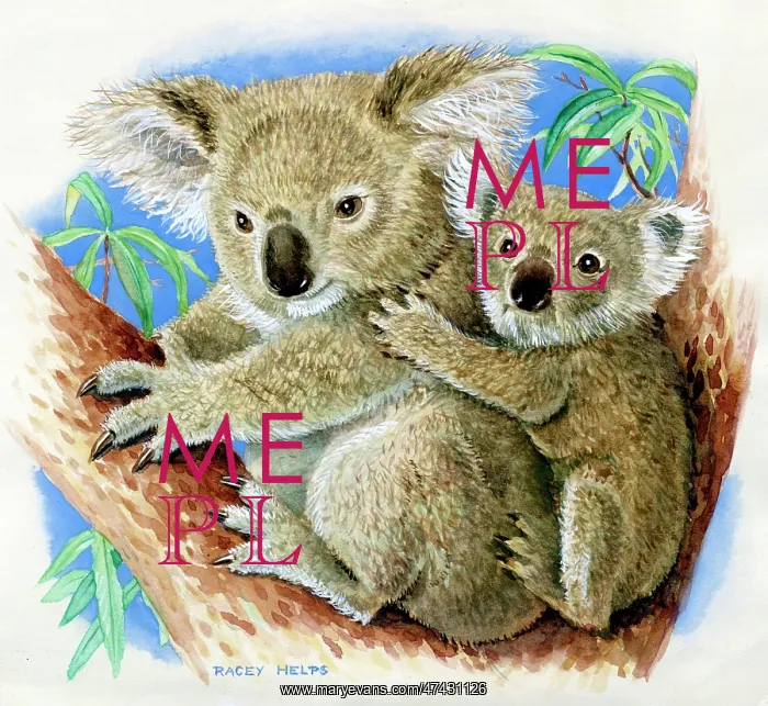  : Koalas - mother and baby koala bears
