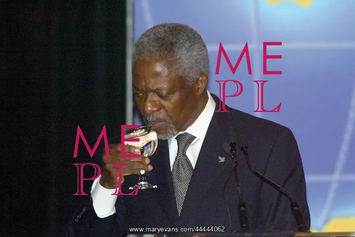  : Kofi Annan