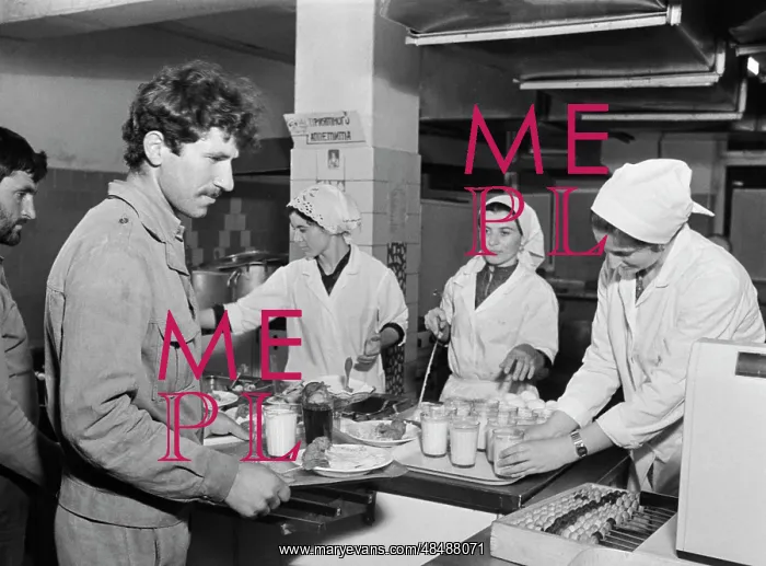 : Koisu Canteen : Koisu Canteen