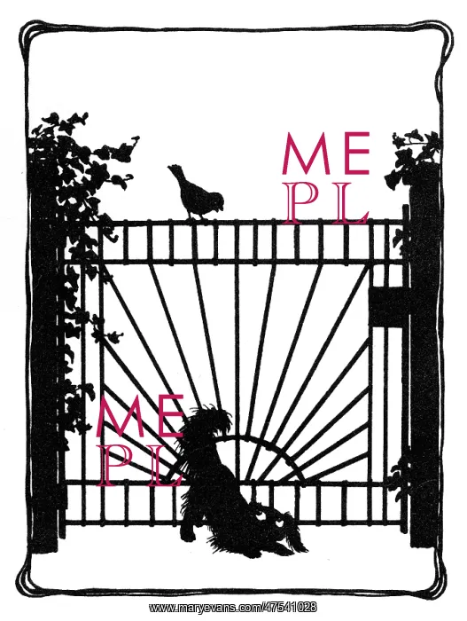 : Koko squeezes under the gate : Koko squeezes under the gate
