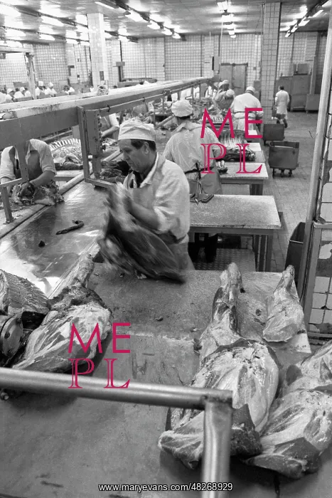 : Kolomna meat processing and packing factory, 1995 : Kolomna meat processing and packing factory, 1995