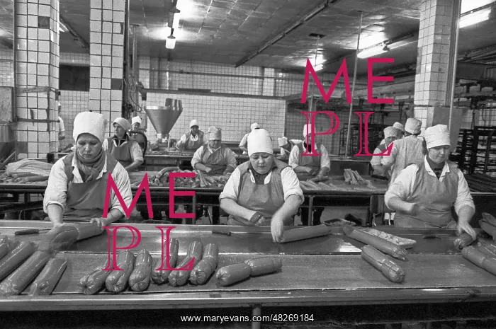 : Kolomna meat processing and packing factory, 1995 : Kolomna meat processing and packing factory, 1995