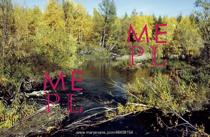 : Kolyma River in autumn, 1983 : Kolyma River in autumn, 1983