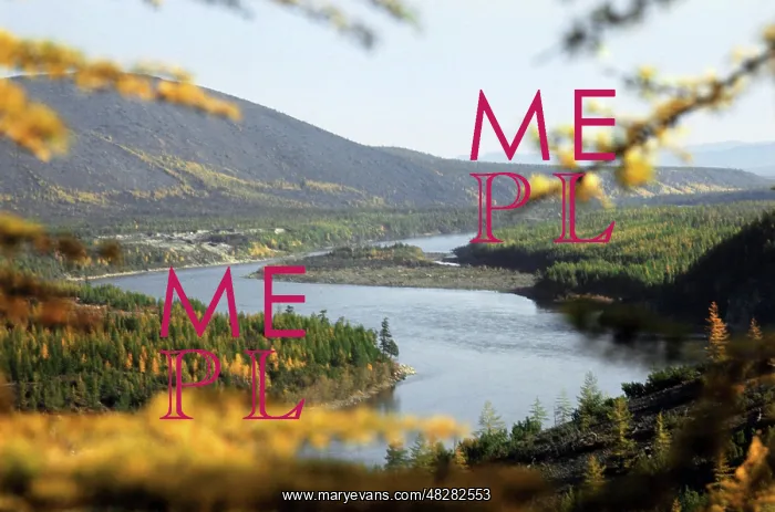 : Kolyma River scenery, 1981 : Kolyma River scenery, 1981