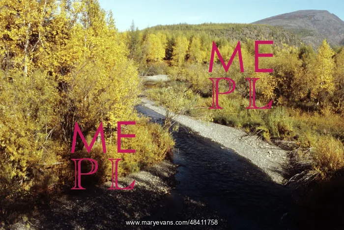 : Kolyma River scenery, 1983 : Kolyma River scenery, 1983