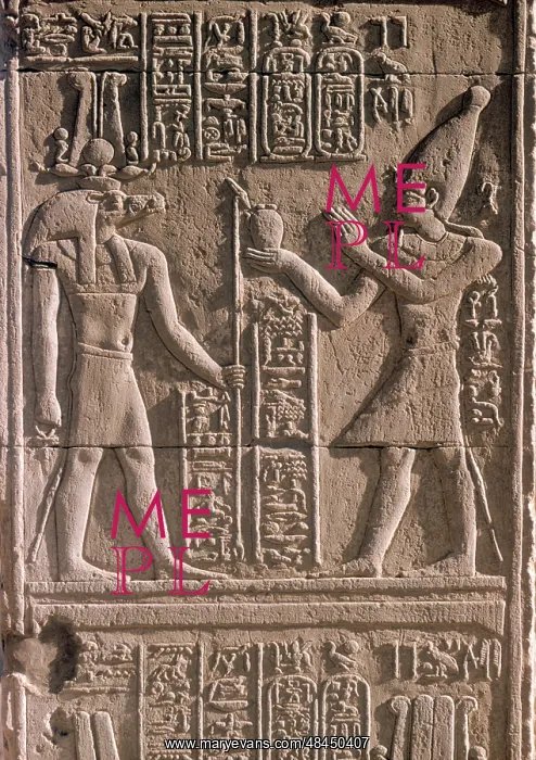 : Kom Ombo Wall Relief : Kom Ombo Wall Relief