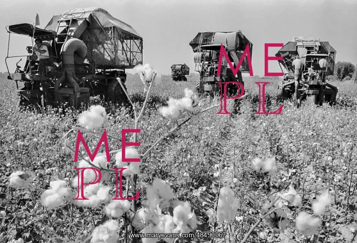 : Kommunizm collective farm : Kommunizm collective farm