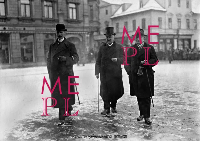 : Konstantin Fehrenbach in Weimar, 1919 : Konstantin Fehrenbach in Weimar, 1919
