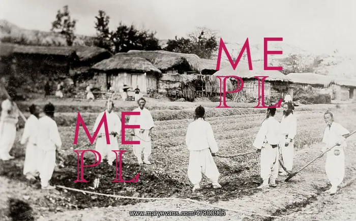  : Korea: farmers in the field
