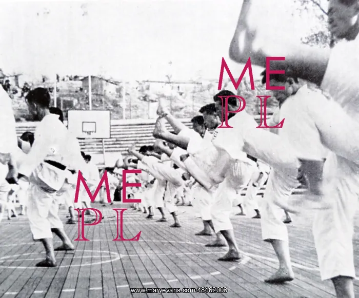 : Korean men performing the traditional martial : Korean men performing the traditional martial